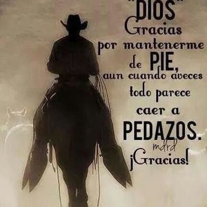 Meet your Posher, Louis